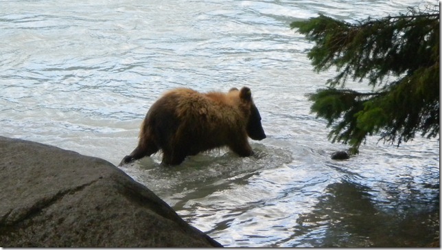 July 30 11 Cheryl (26)