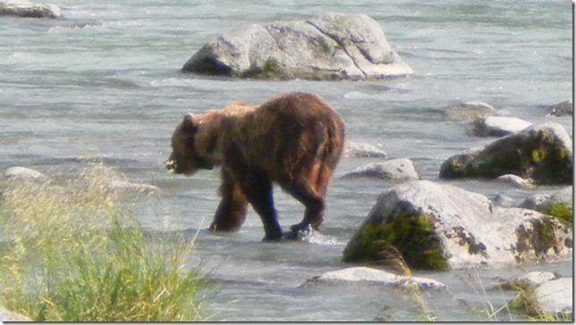 July 30 11 Cheryl (33)