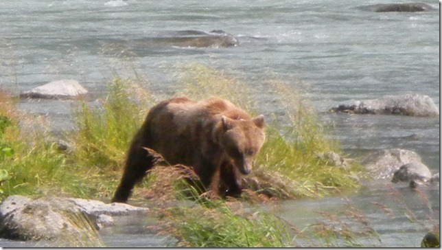 July 30 11 Cheryl (34)