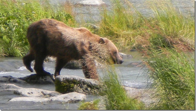 July 30 11 Cheryl (35)