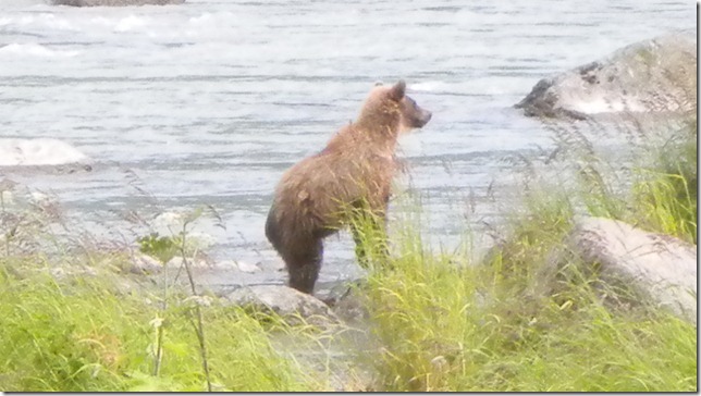 July 30 11 Cheryl (38)