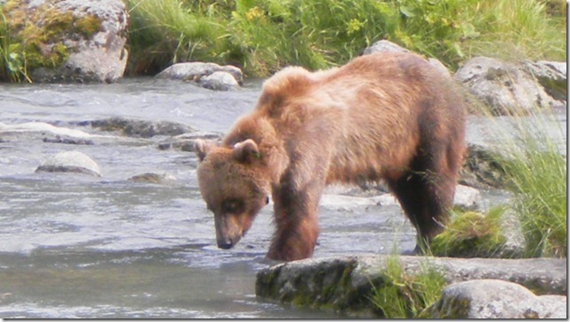 July 30 11 Cheryl (40)