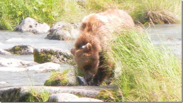 July 30 11 Cheryl (41)