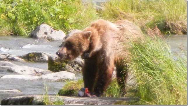 July 30 11 Cheryl (42)