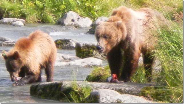 July 30 11 Cheryl (43)