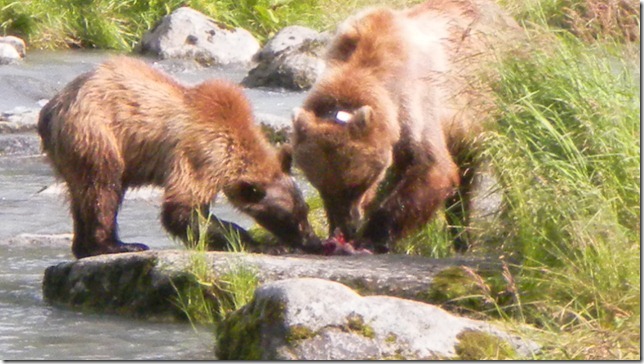 July 30 11 Cheryl (44)