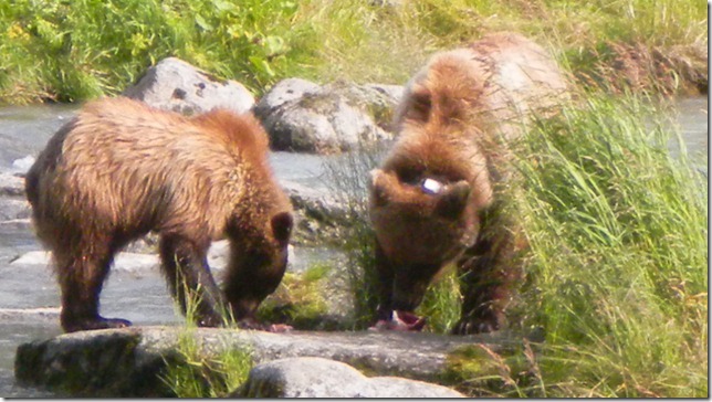 July 30 11 Cheryl (45)