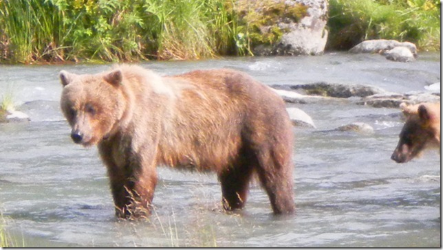 July 30 11 Cheryl (49)