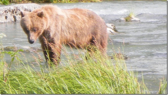 July 30 11 Cheryl (50)