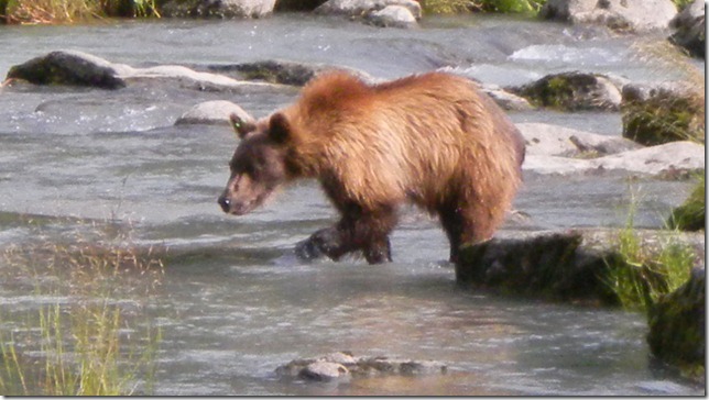 July 30 11 Cheryl (51)