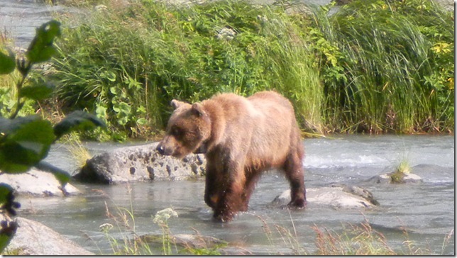 July 30 11 Cheryl (55)