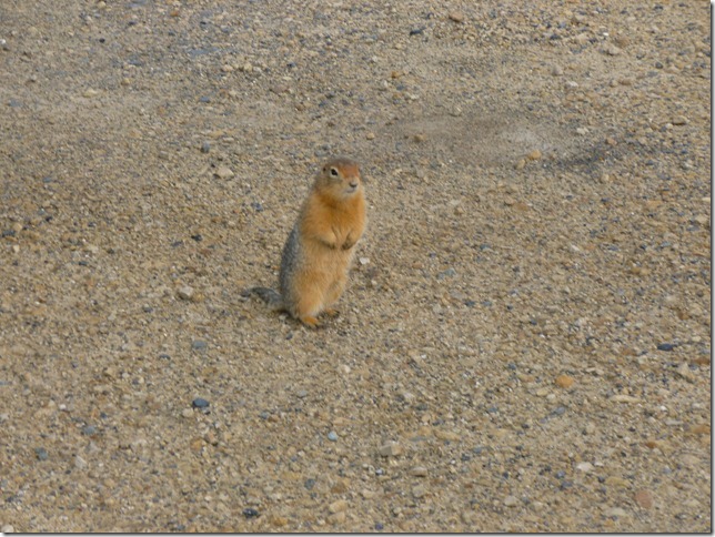 July 9 11 Dempster OUT (59)