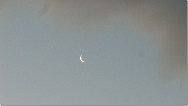 Seward July 26 11 (10)