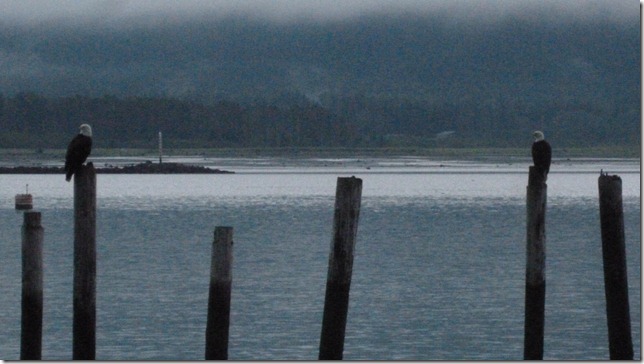 Seward July 26 11 (11)