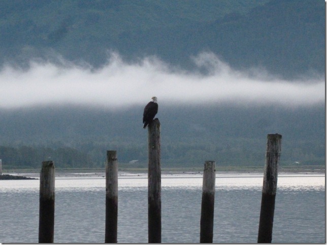 Seward July 26 11 (12)