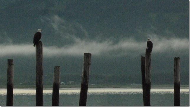 Seward July 26 11 (14)