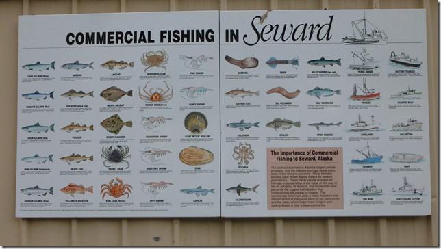 Seward July 26 11 (3)