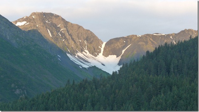 Seward July 26 11 (6)