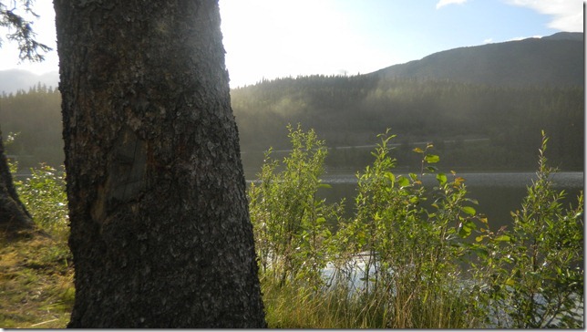 Alaska Aug 1 11 Cheryl (4)