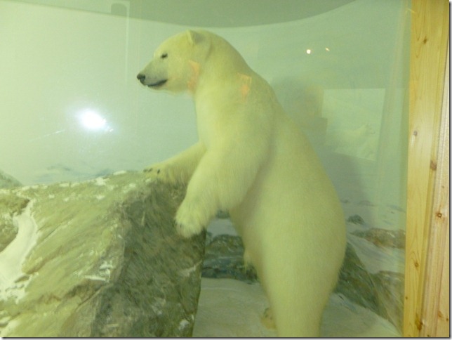 Alaska Aug 1 11 White to Dease River (13)