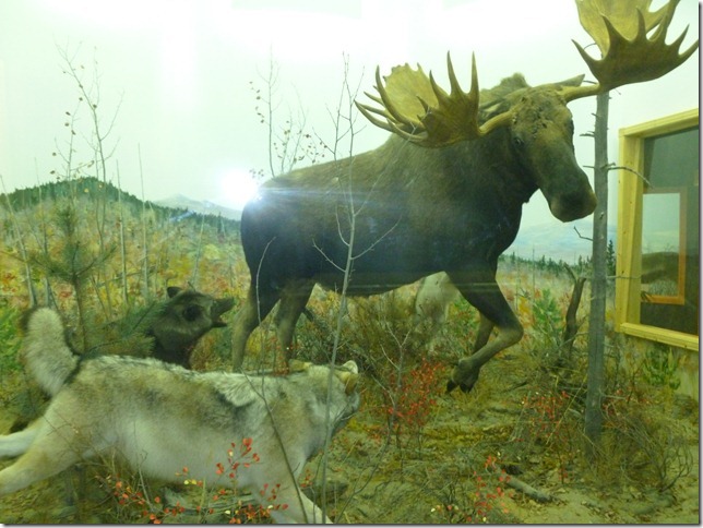 Alaska Aug 1 11 White to Dease River (15)