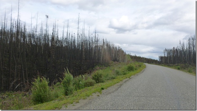 Alaska Aug 1 11 White to Dease River (50)