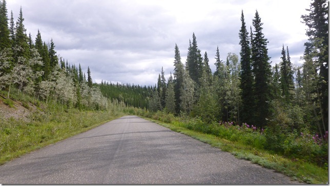 Alaska Aug 1 11 White to Dease River (51)