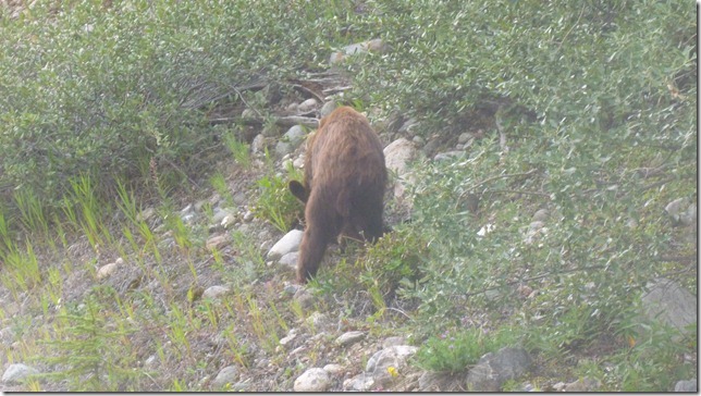 Alaska Aug 1 11 White to Dease River (64)
