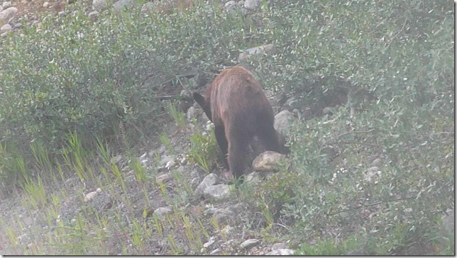 Alaska Aug 1 11 White to Dease River (66)