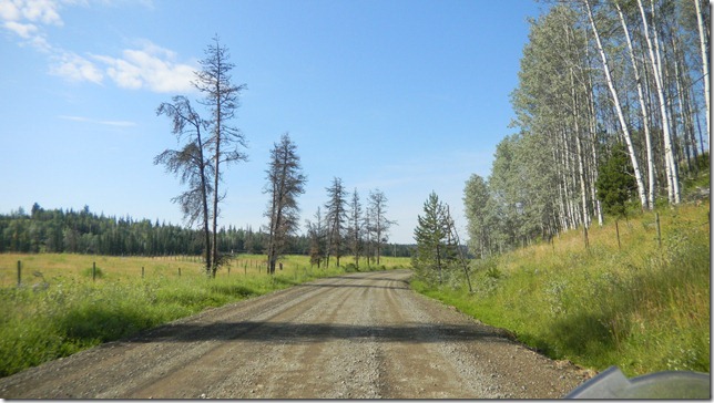 Alaska Aug 11 11 (14)