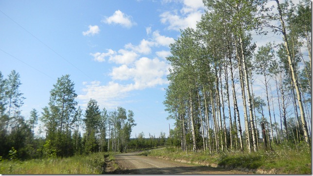 Alaska Aug 11 11 (2)