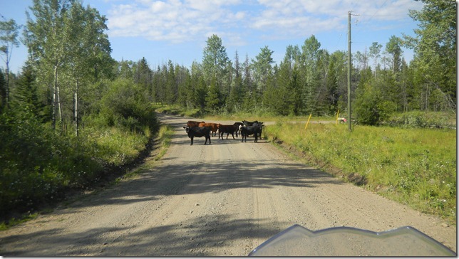 Alaska Aug 11 11 (6)