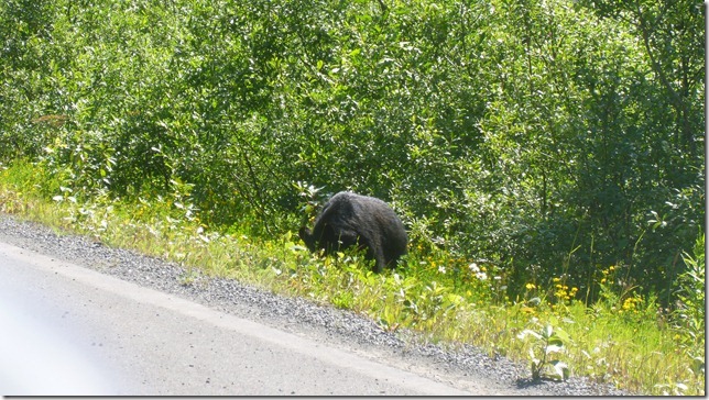 Alaska Aug 2 11 Dease River to Stewart (27)