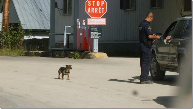 Alaska Aug 2 11 Dease River to Stewart (55)