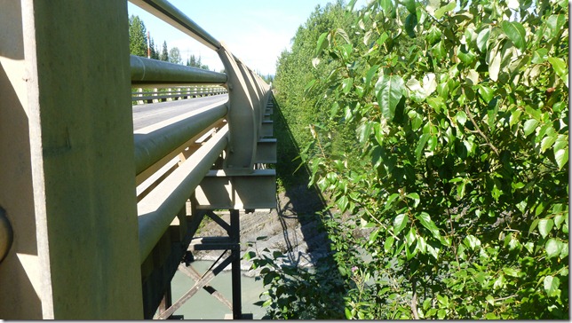 Alaska Aug 3 11 Stewart to Terrace (55)