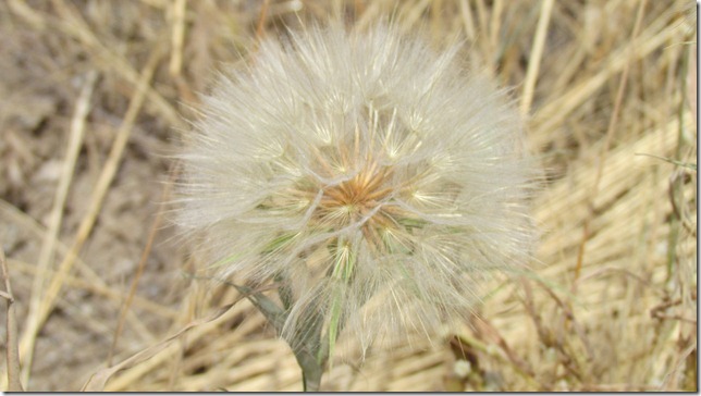 Aug 11 11 Canon (19)