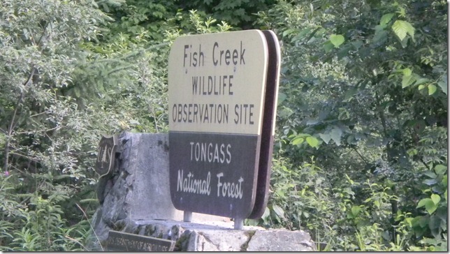 Aug 2 11 Cheryl (28)