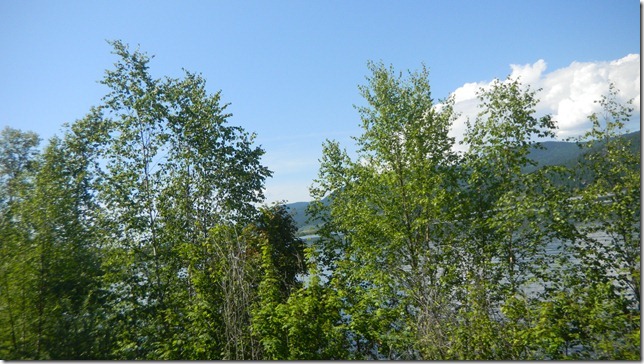 August 9 11 Cheryl (11)