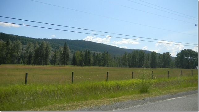 August 9 11 Cheryl (14)