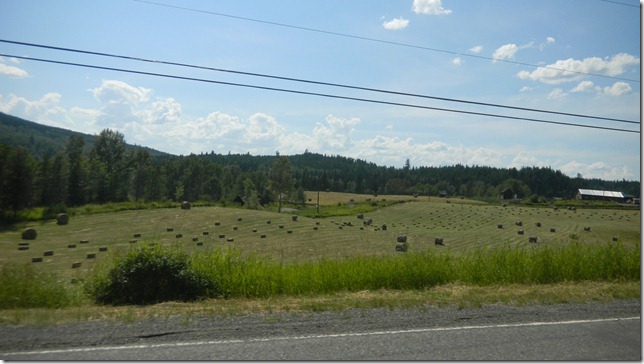 August 9 11 Cheryl (16)