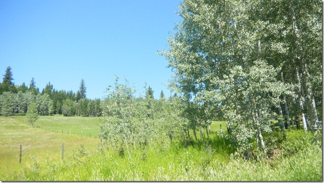 August 9 11 Cheryl (26)