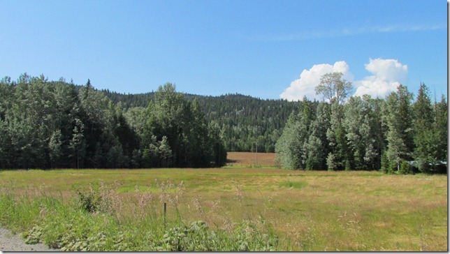 Loon Bay Aug 9th 11 (24)