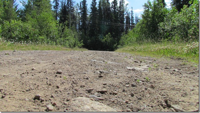 Loon Bay Aug 9th 11 (3)