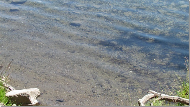 Loon Bay Aug 9th 11 (8)