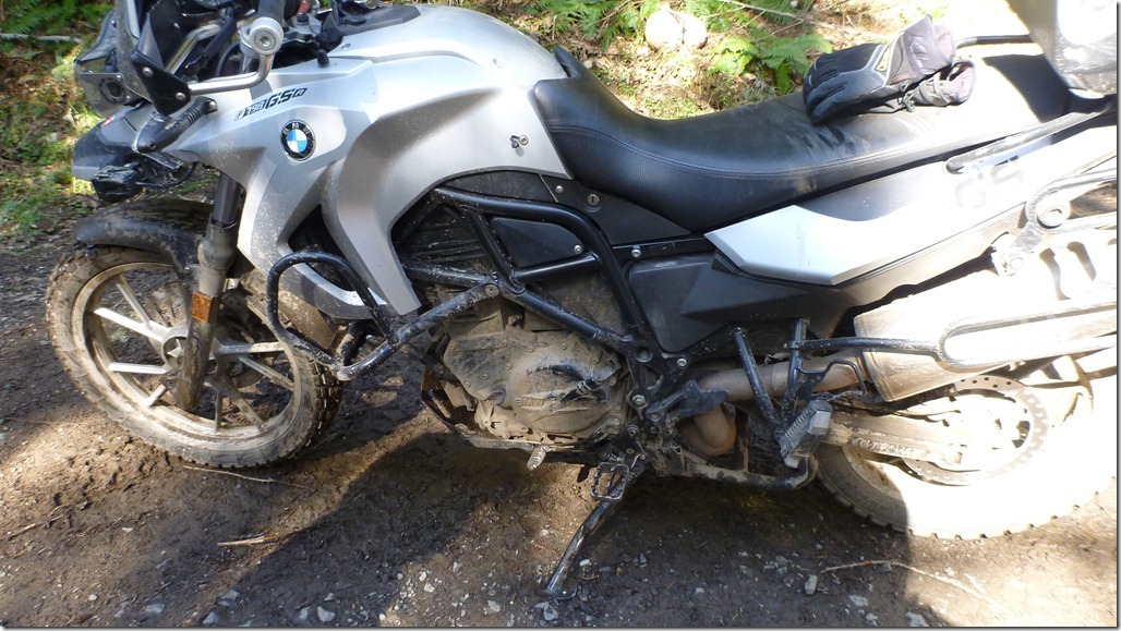 Mar 25 12 Newbie 027