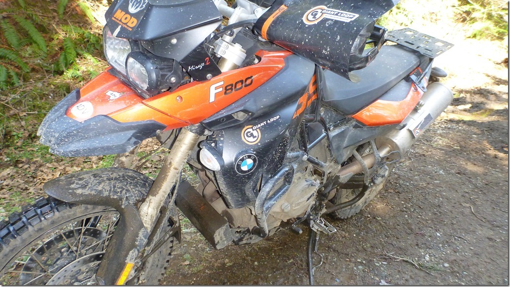 Mar 25 12 Newbie 028