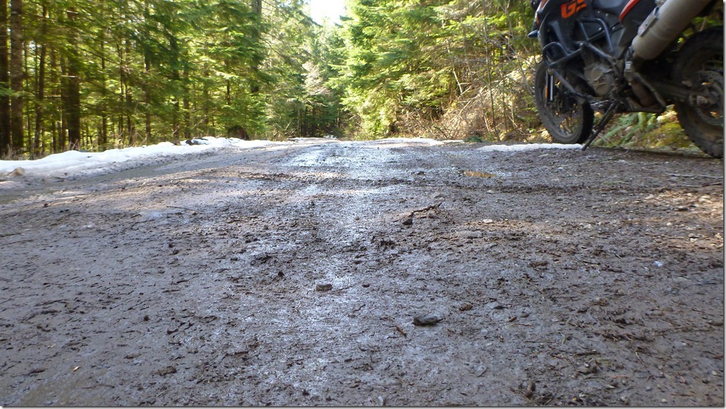 Mar 25 12 Newbie 030