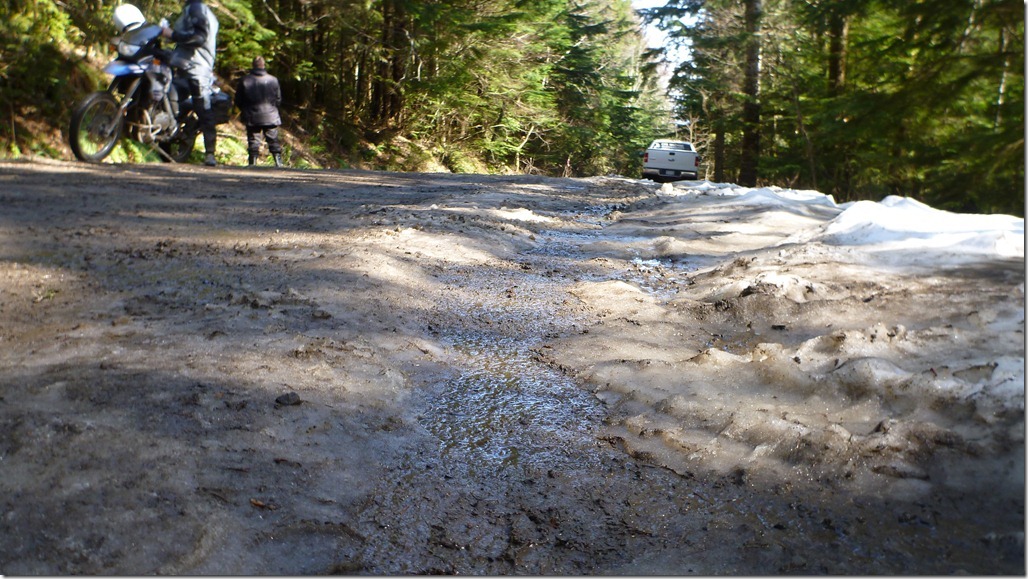 Mar 25 12 Newbie 031