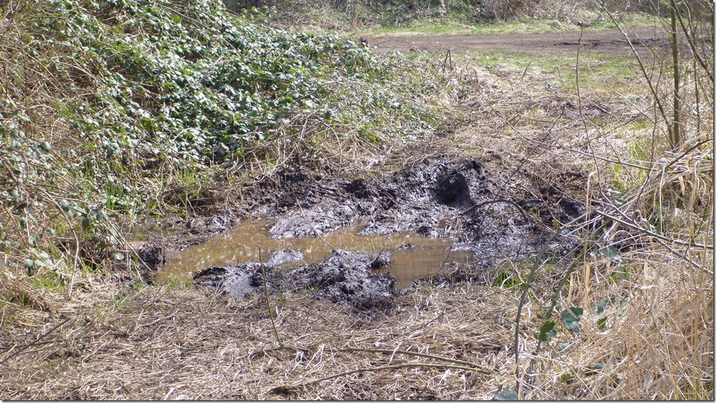 Mar 25 12 Newbie 043