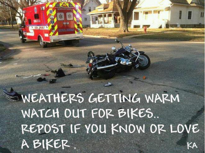 480065_10150960489214337_416981078_n